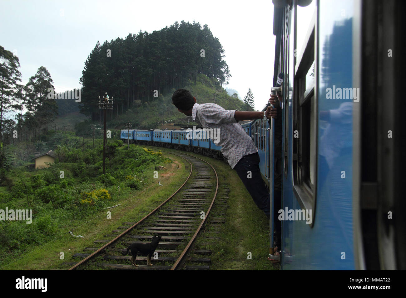 Train surfing over a beautiful landscape in Sri Lanka Stock Photo Alamy