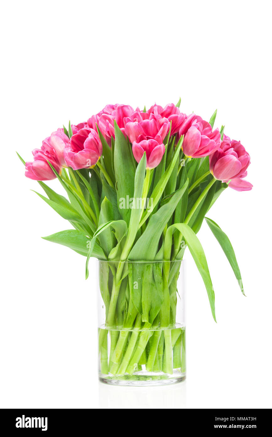 Bouquet of tulips flowers in the glass vase isolated on white ...