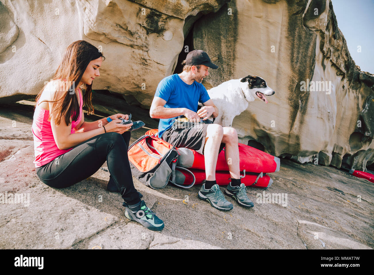 Dog climbing wall hires stock photography and images Alamy