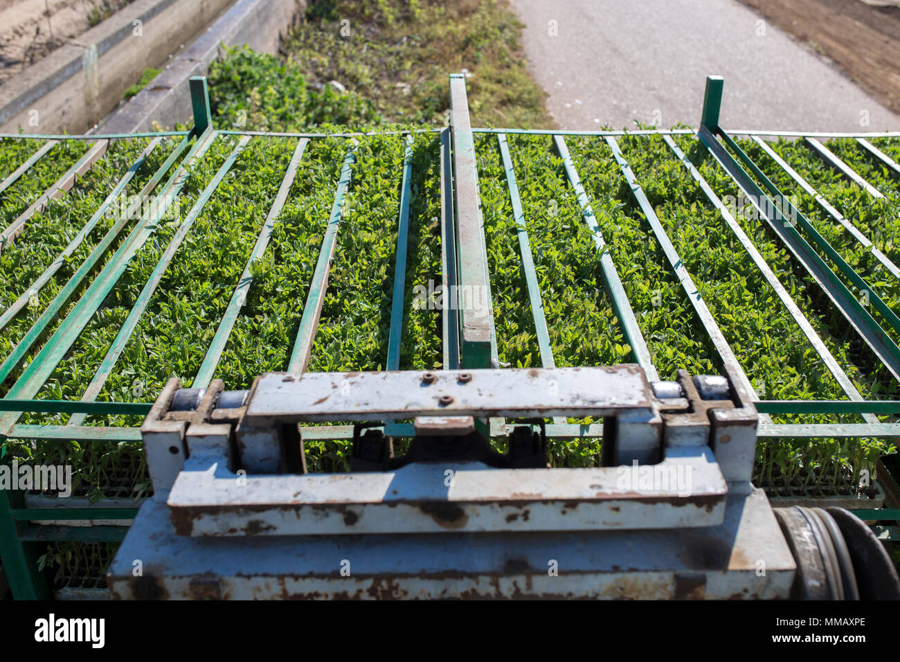 Seedlings trays on trailer racks hi-res stock photography and images ...