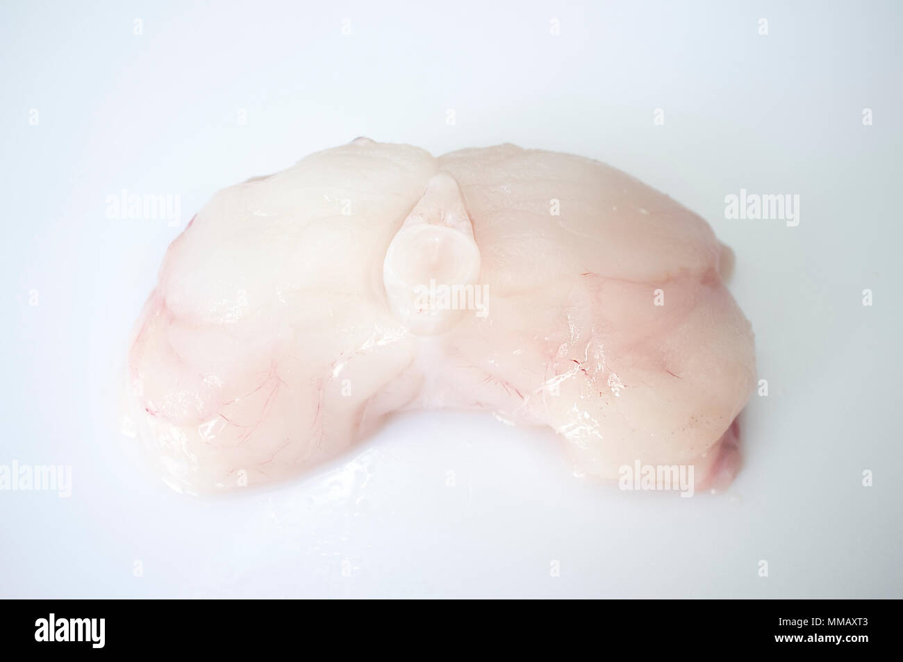 Monkfish tail steak. Isolated over white background. Isolated over white background Stock Photo