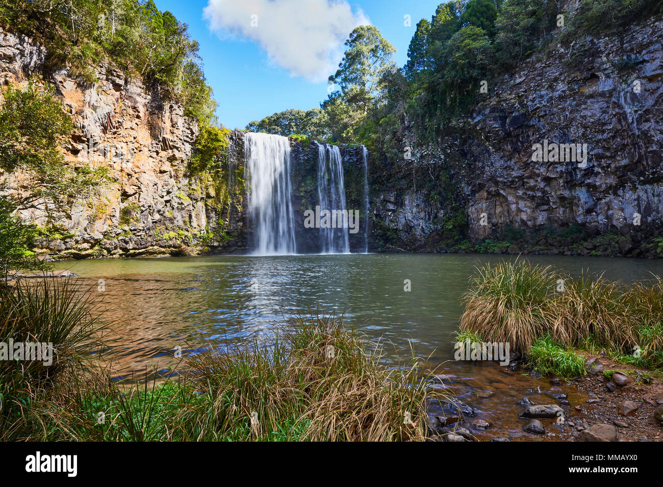 Dangar Falls a cascade waterfall on the Bielsdown river in the Dorrigo National Park, Dorrigo near Coffs Harbour, New South Wales, Australia Stock Photo