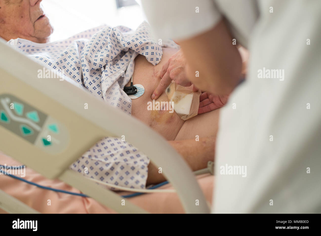 HEPATOLOGY Stock Photo