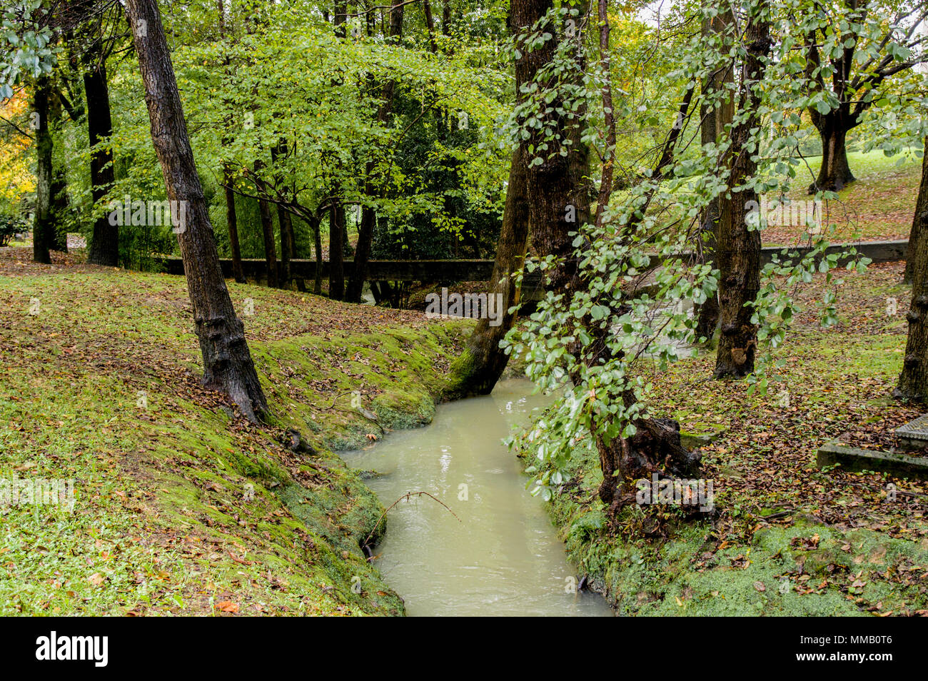 Basque Country Rivers River in rain forest, Zamudio, Bizkaia, Basque Country, Spain, Europe ...
