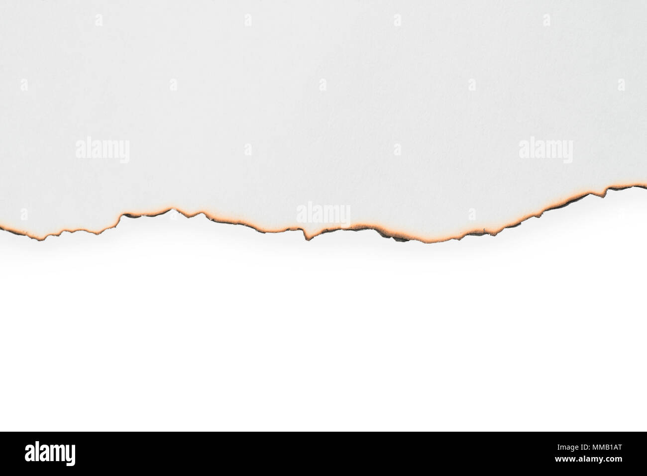 Rough Edged Paper Texture