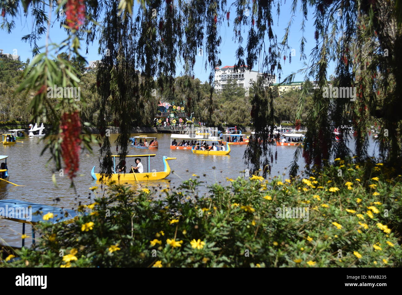Family Boating at the Burnham Park Lake located within the heart of Baguio City. Baguio City is the Summer Capital of the Philippines. Stock Photo
