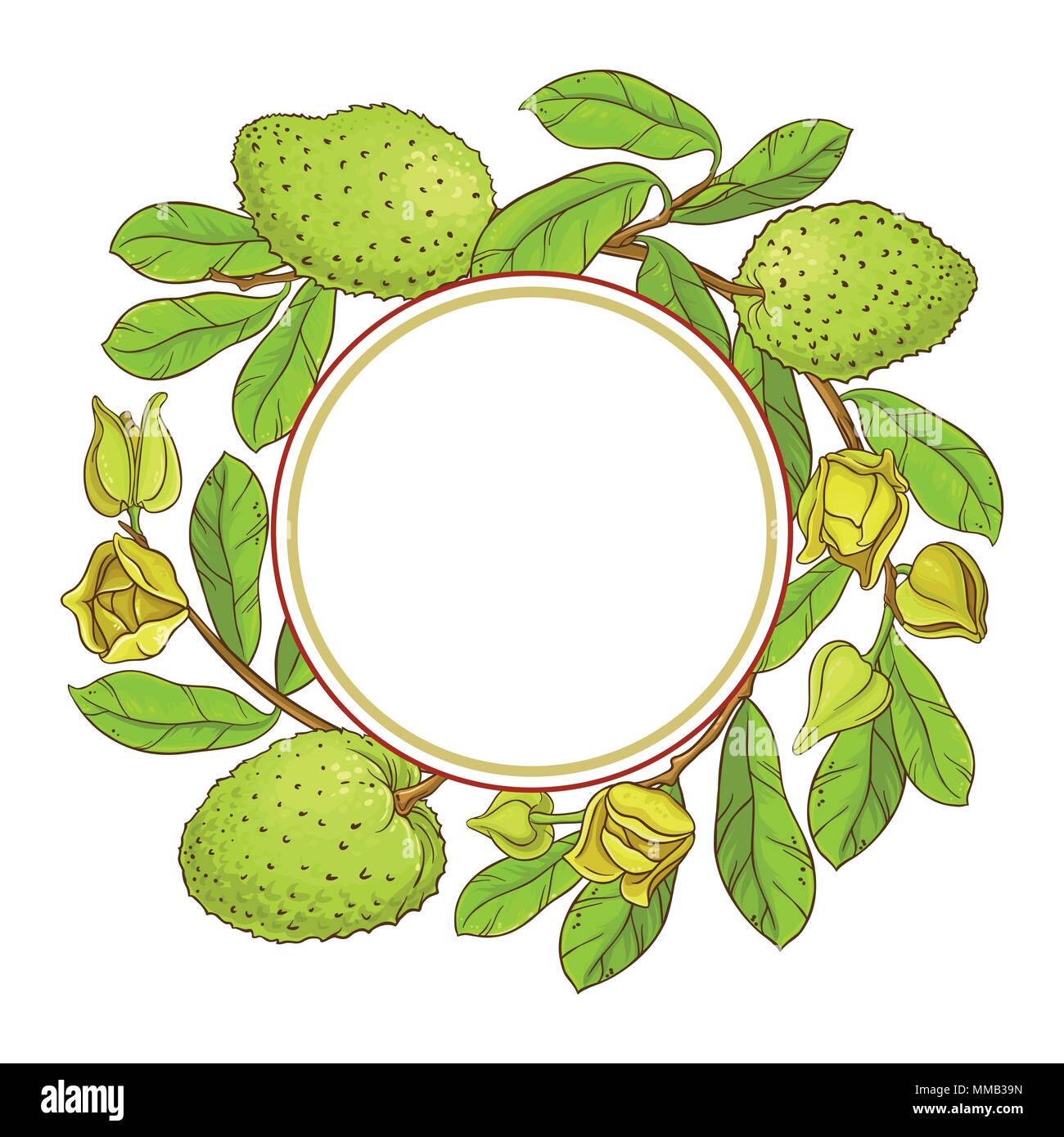 soursop branches vector frame on white background Stock Vector Image