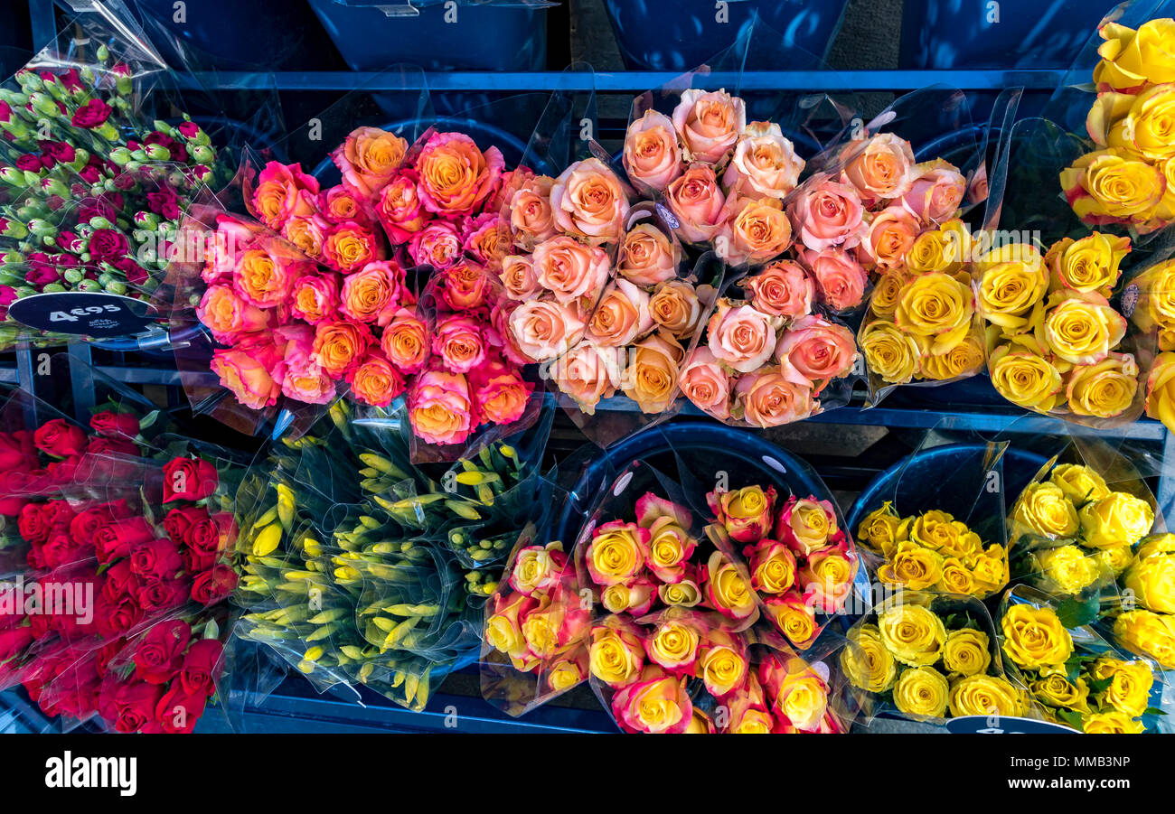 Roses For Sale High Resolution Stock Photography and Images Alamy