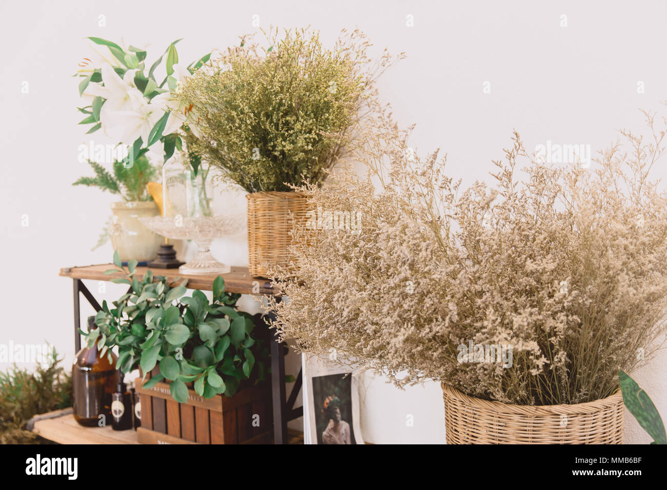 dry plant and flower home decoration vintage color tone Stock