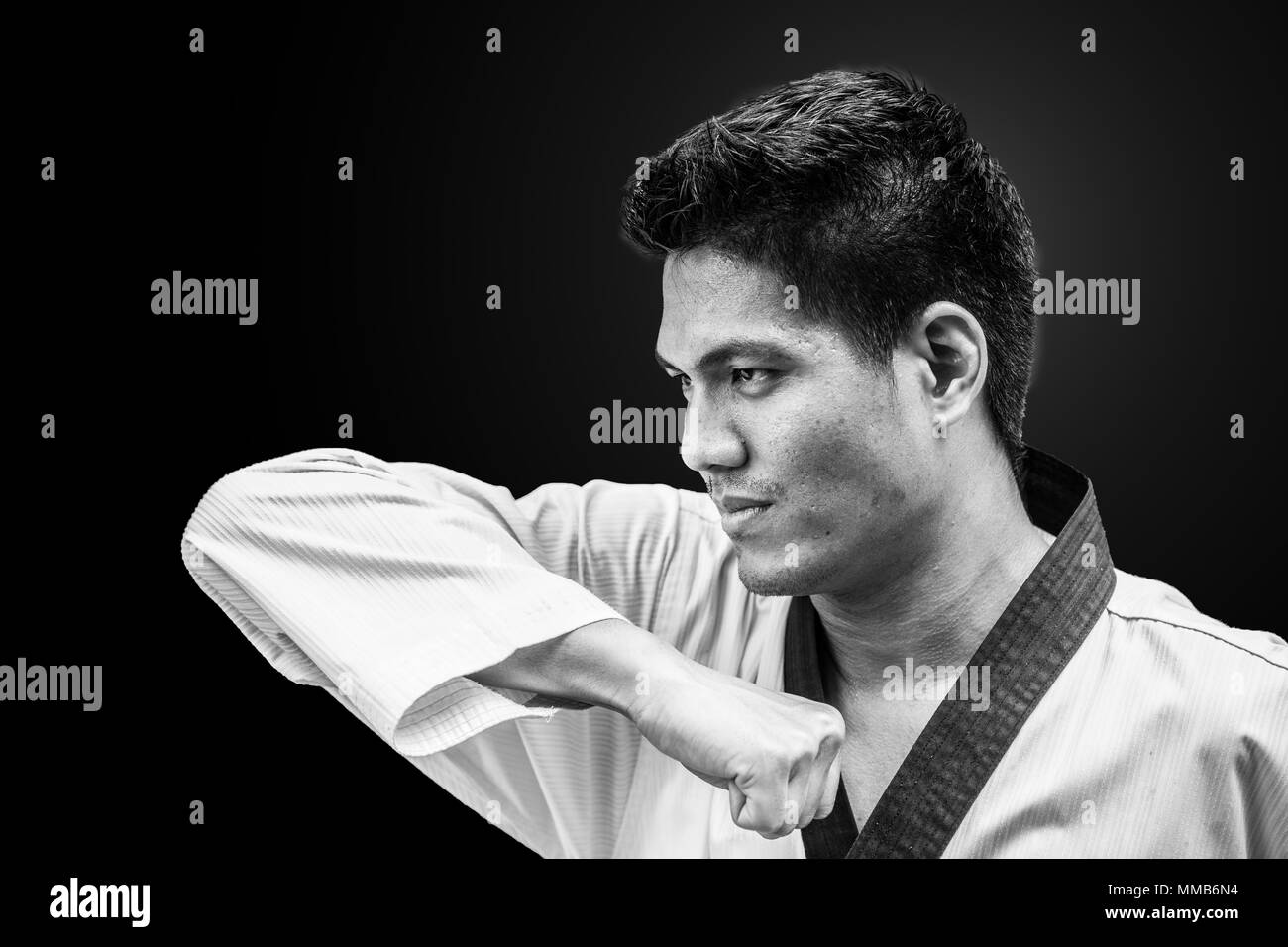 Elbow Strike Taekwondo Traditional Korean Fighter Stand for Flight