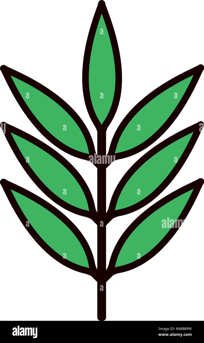 branch with leafs decorative icon Stock Vector Image & Art - Alamy