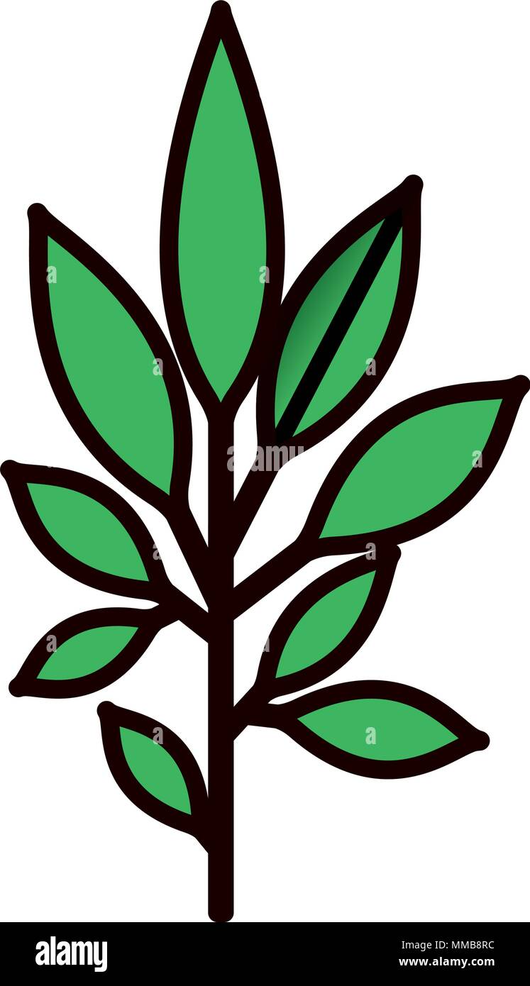 branch with leafs decorative icon Stock Vector Image & Art - Alamy