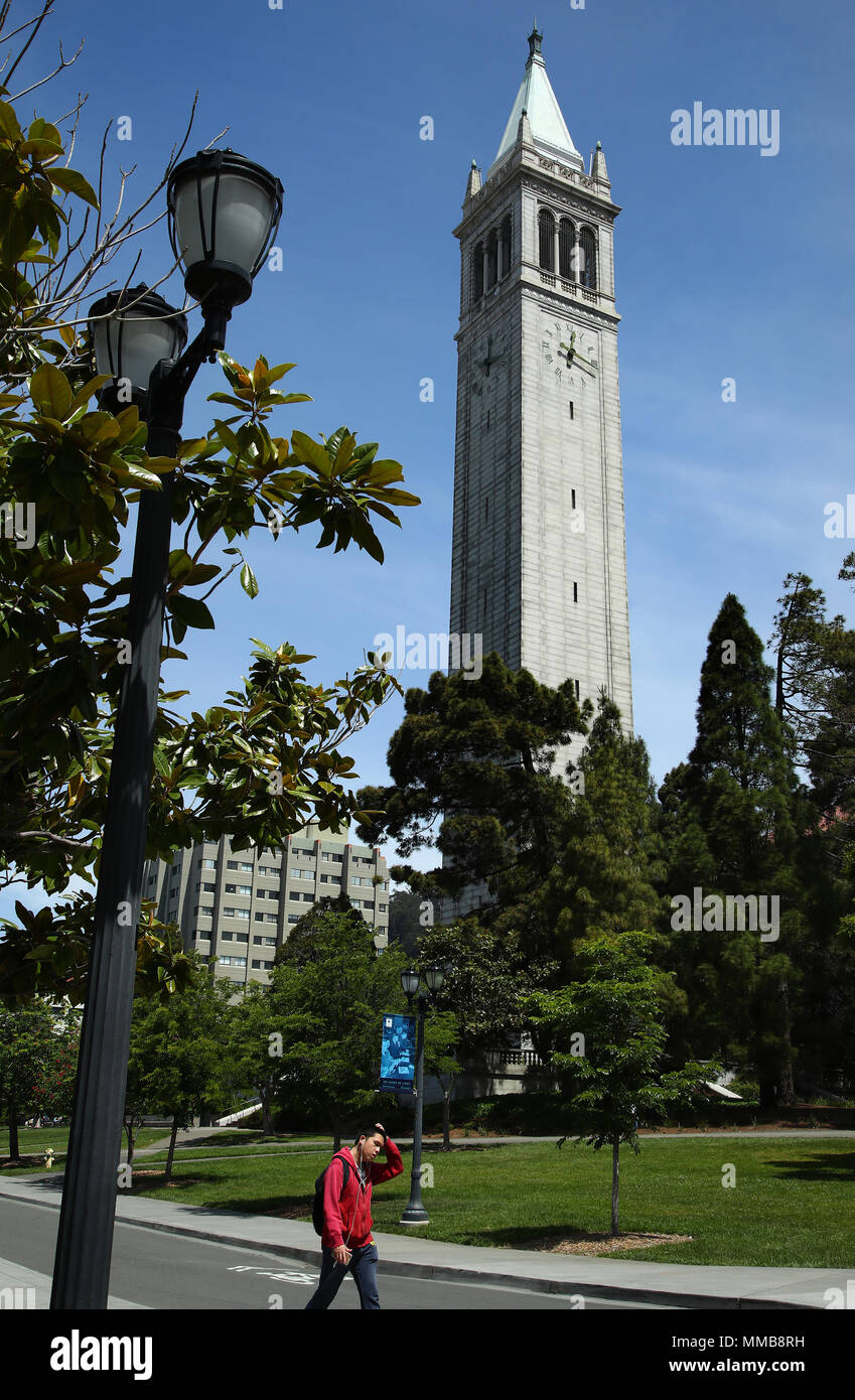 Sather Tower, also known as the Campanile, on the University of California at Berkeley campus. Stock Photo