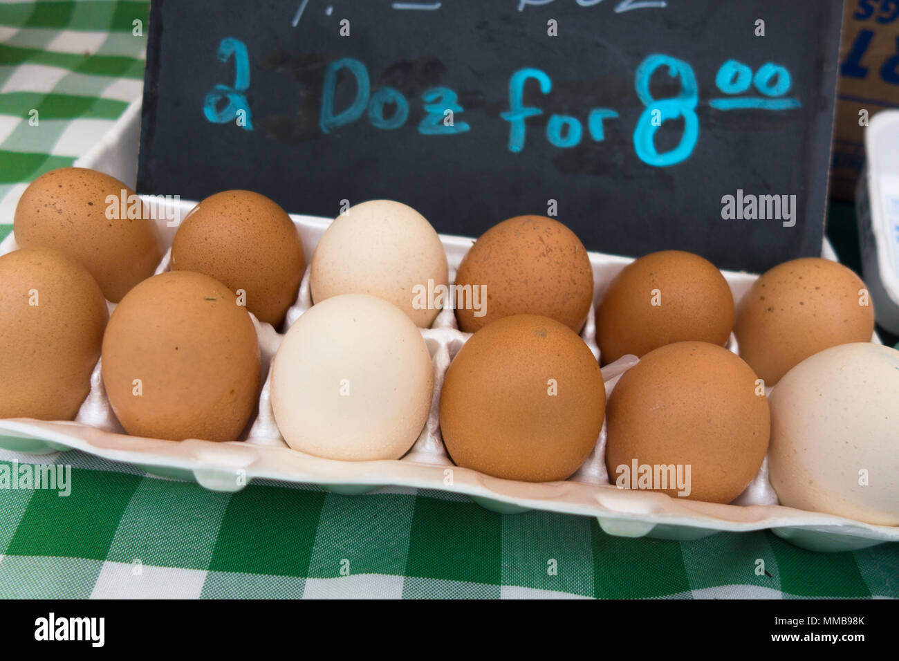 One dozen brown and white eggs on sale at a local farmer's market Stock Photo