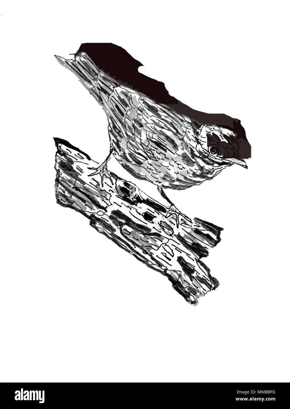 black and white drawings Stock Photo - Alamy