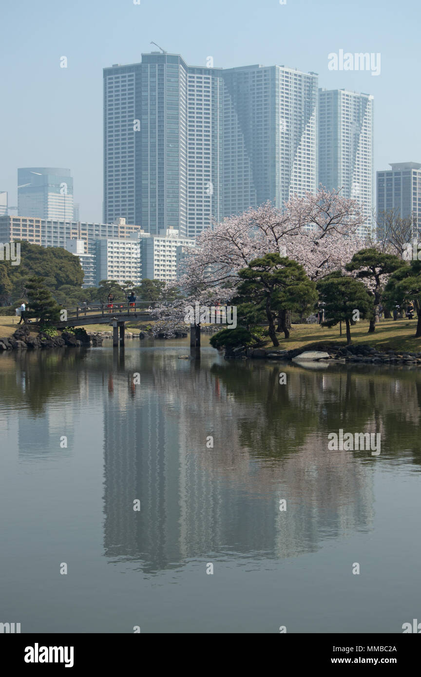 Pond at Hamarikyu Gardens, Tokyo, Japan Stock Photo