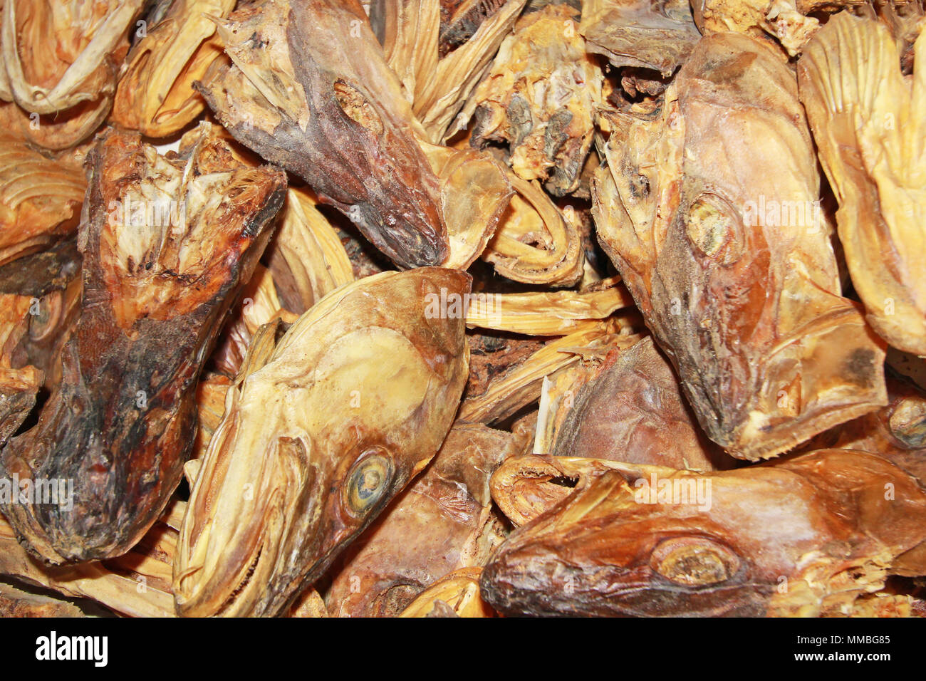 Cod Stockfish Head