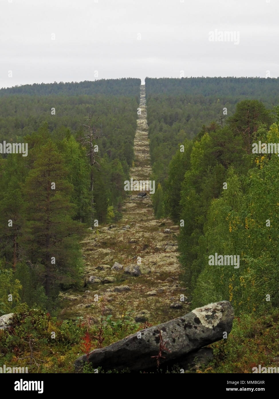 Forest corridor building the Three-Country Cairn on the border between Russia, Norway and Finland Stock Photo