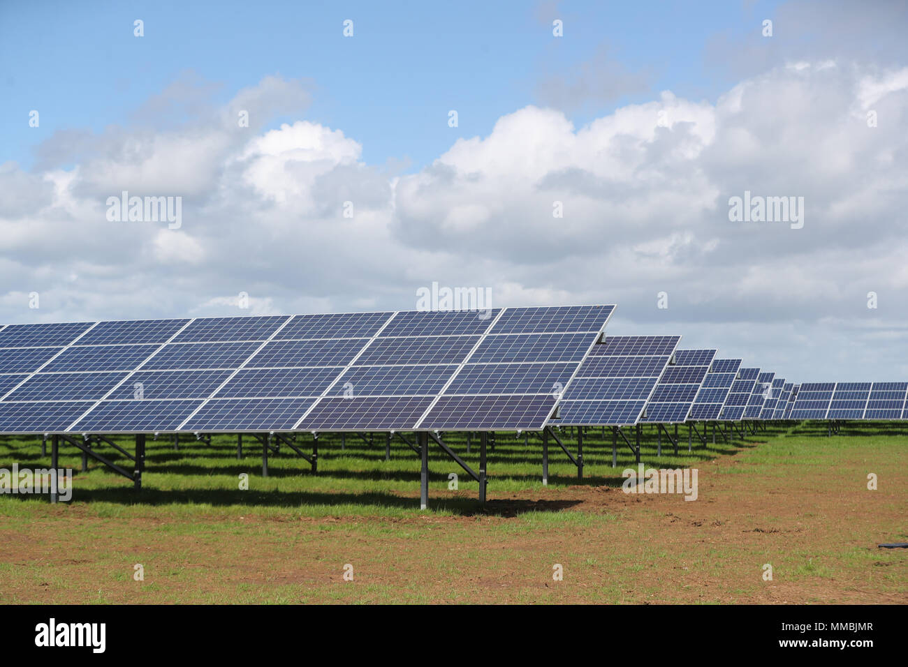 A view of the new £7 million solar farm at Dunore, which will supply electricity to NI Waters Dunore Water Treatment works in South Antrim. Stock Photo