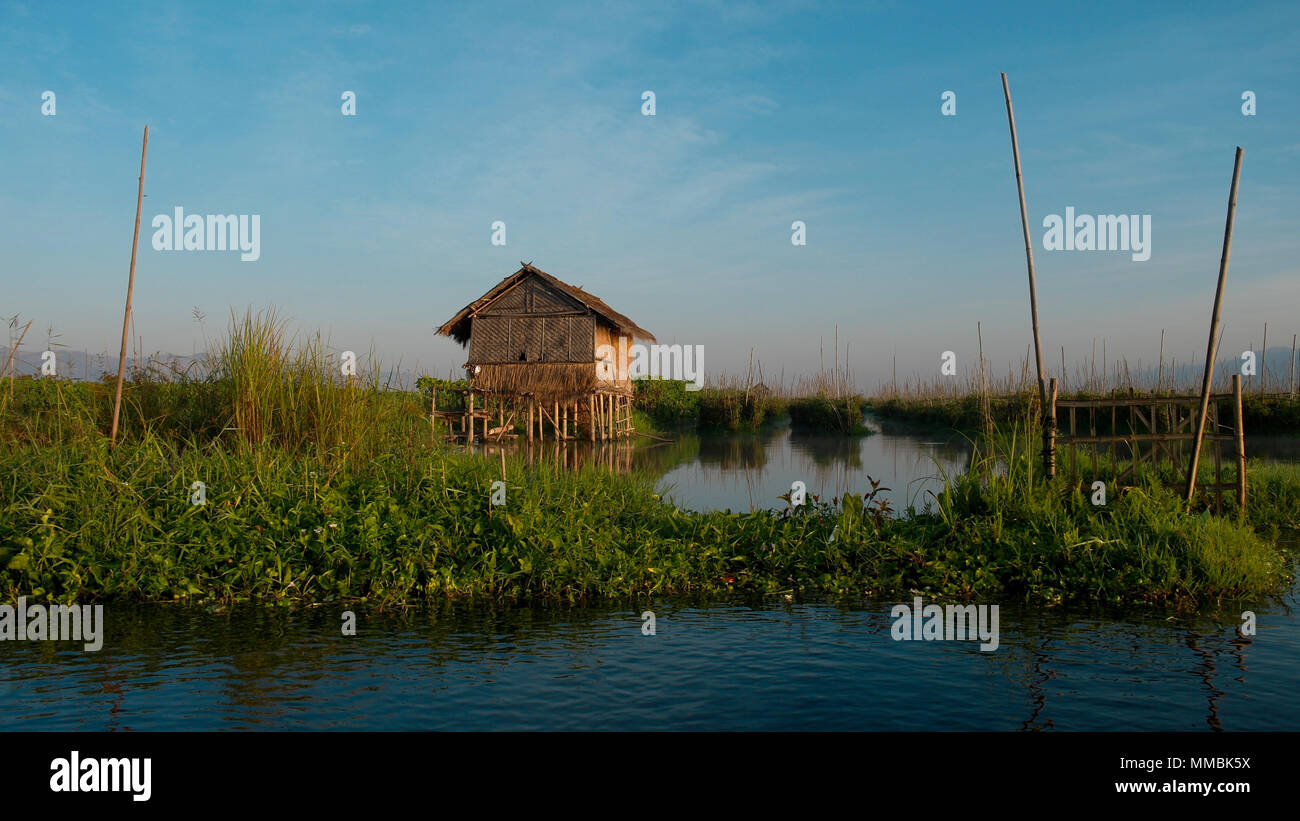 Floating garden on Inle lake, Shan state, Myanmar Stock Photo