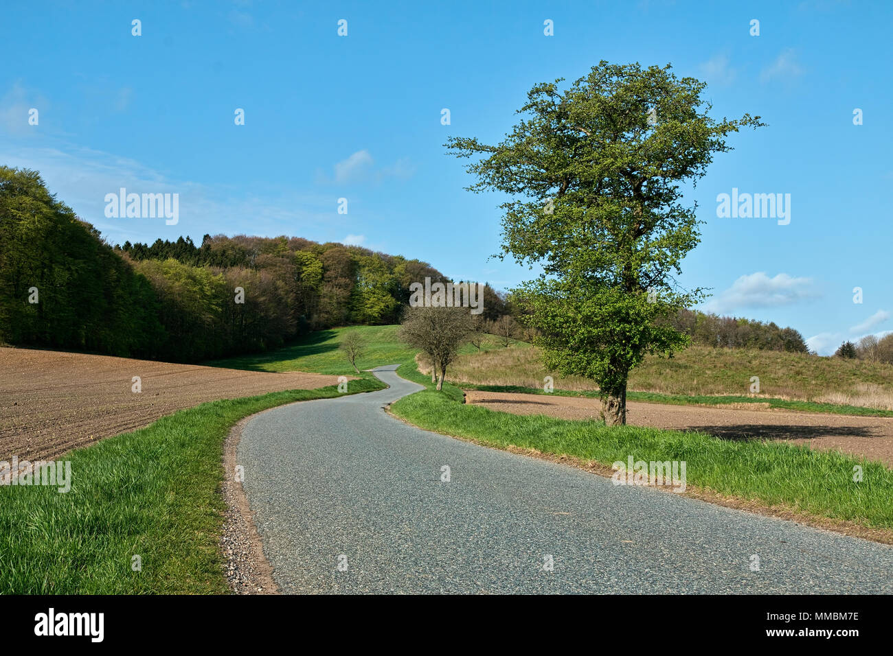 Curved country road hi-res stock photography and images - Alamy