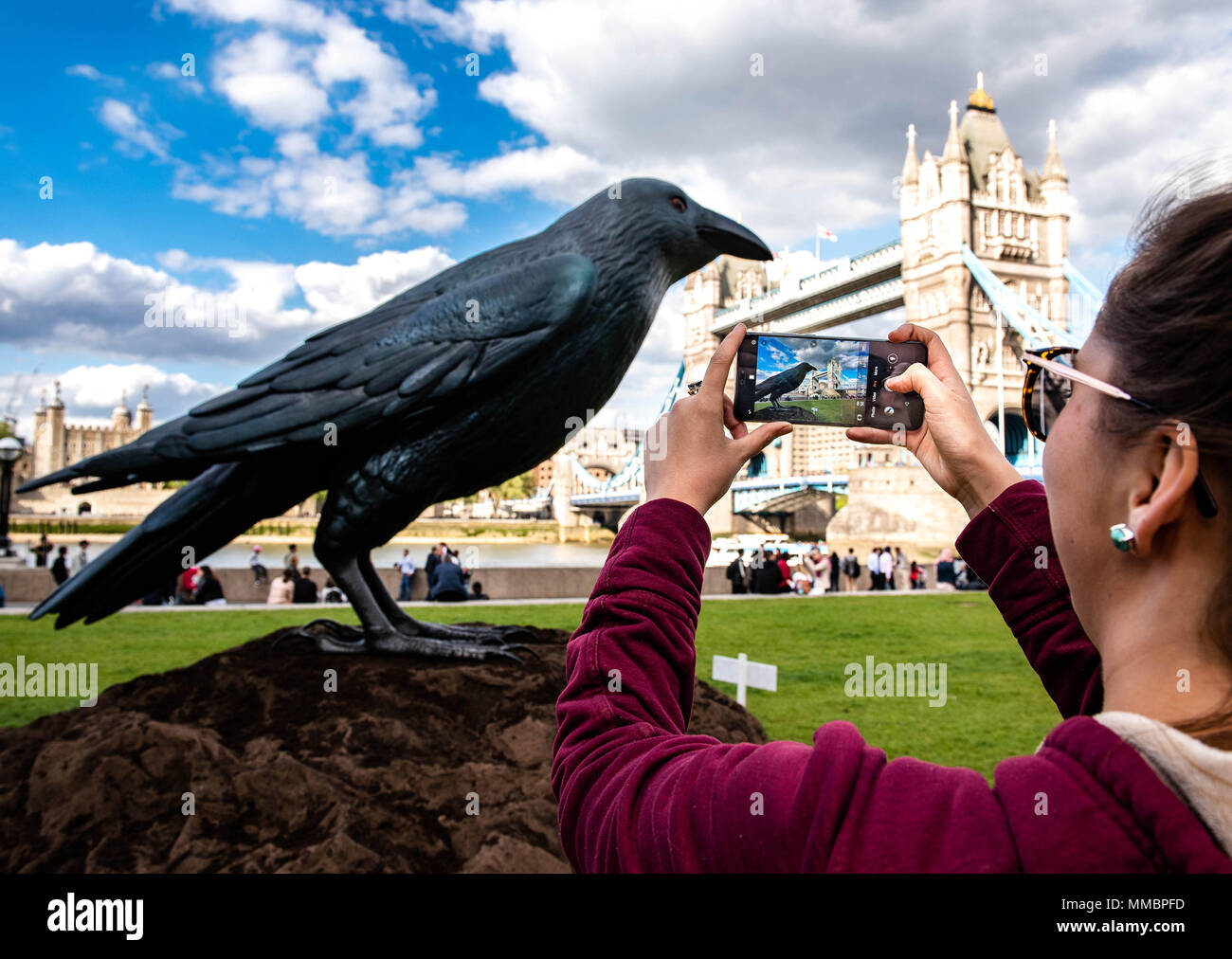 EDITORIAL USE ONLY Ella Martin photographs a 2.5 metre replica of Britain&Otilde;s most elusive bird, the raven, with the new Huawei P20 Pro. The giant bird has been created by smartphone manufacturer Huawei, as they reveal new research about our love of British wildlife, Potters Field Park. Stock Photo