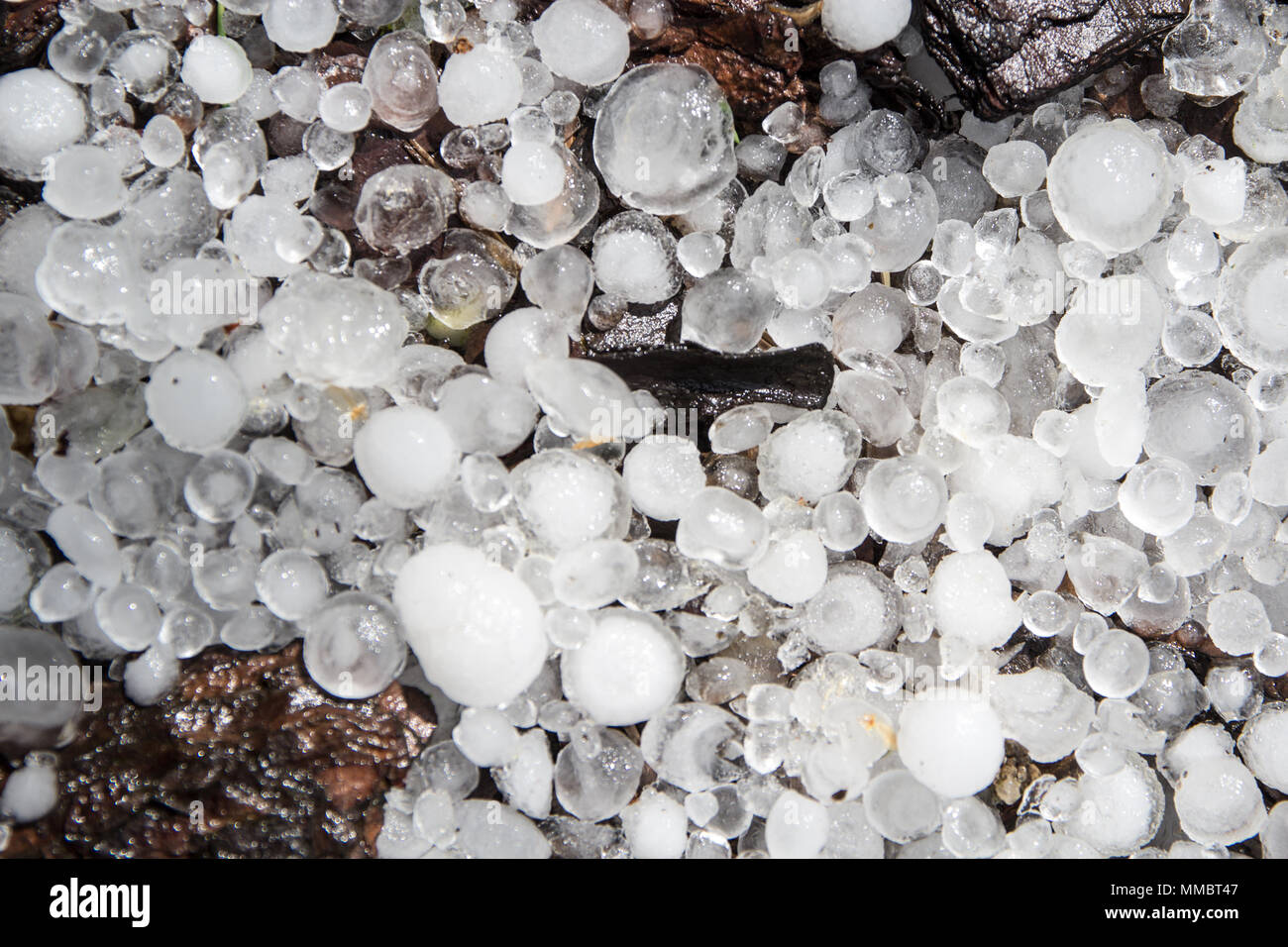 a lot of hailstones - weather anomalies Stock Photo