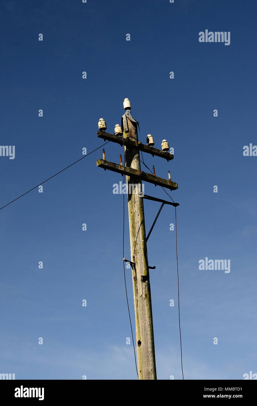 Vintage Ceramic Electric Telegraph Telephone Pole Insulator Collectible