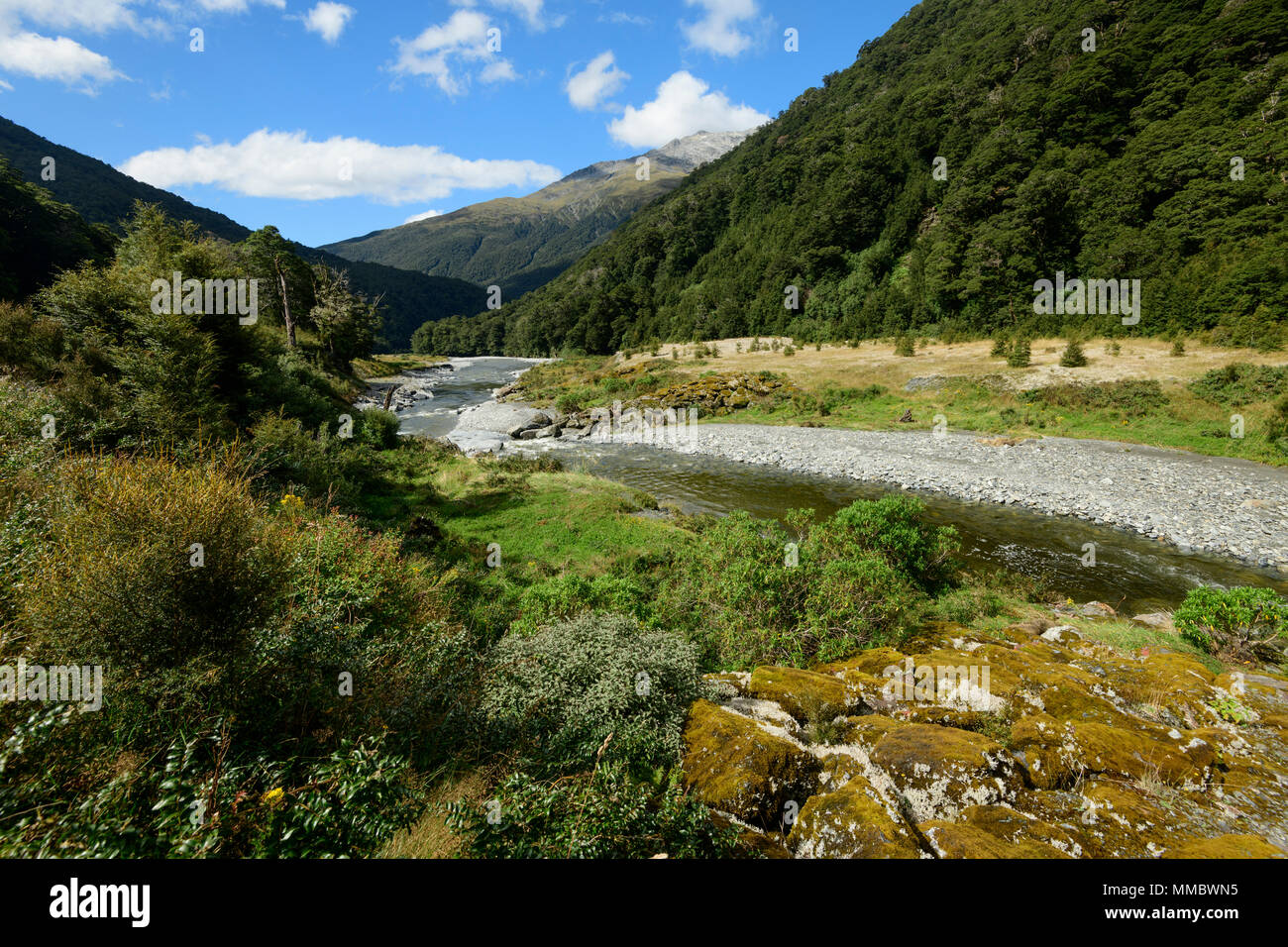 Oceania; New Zealand; Aotearoa; South Island; Westland National Park, Haast river valley Stock Photo