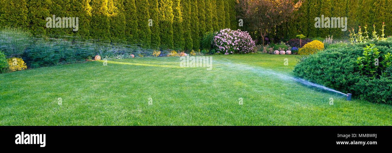 Irrigation of the green grass with sprinkler system Stock Photo - Alamy