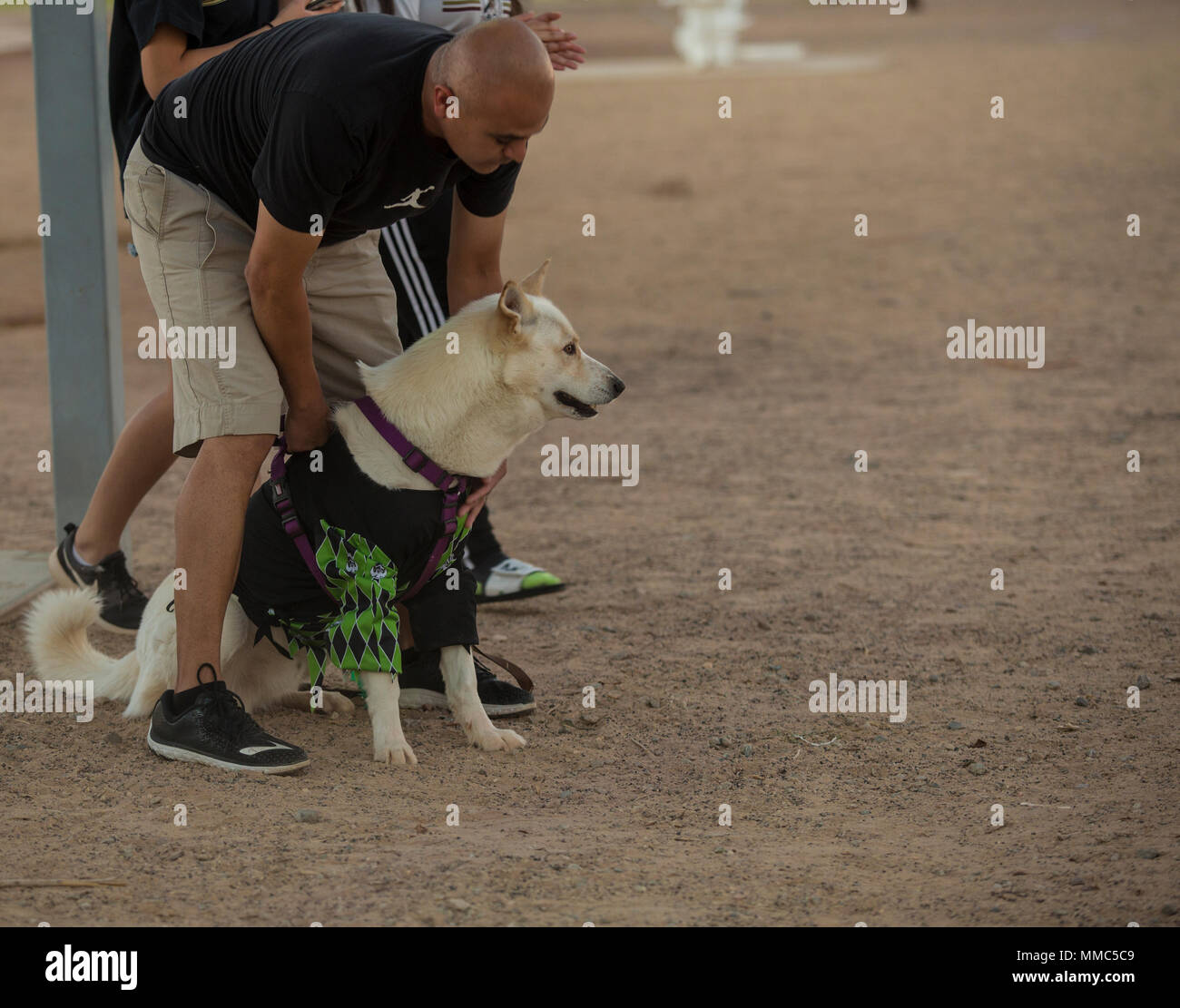 U.S. Marines, Sailors, and families attend Purple Paws for a Cause at Meyers Park on Marine Corps Air Station Yuma, Ariz., Oct. 6, 2017. Purple Paws for a Cause is an event hosted by the Family Advocacy Program, that raises awareness of domestic violence and animal abuse. (U.S. Marine Corps photo by Lance Cpl. Sabrina Candiaflores) Stock Photo
