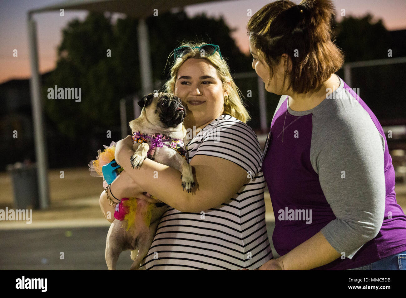 U.S. Marines, Sailors, and families attend Purple Paws for a Cause at Meyers Park on Marine Corps Air Station Yuma, Ariz., Oct. 6, 2017. Purple Paws for a Cause is an event hosted by the Family Advocacy Program that raises awareness of domestic violence and animal abuse. (U.S. Marine Corps photo by Lance Cpl. Sabrina Candiaflores) Stock Photo