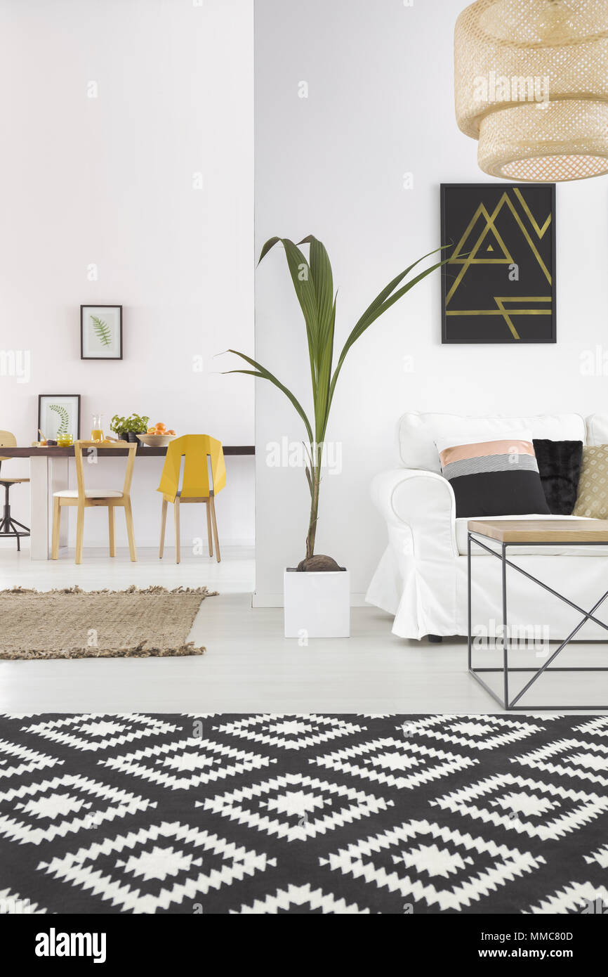 White home interior with pattern carpet, houseplant, sofa, and lamp Stock Photo