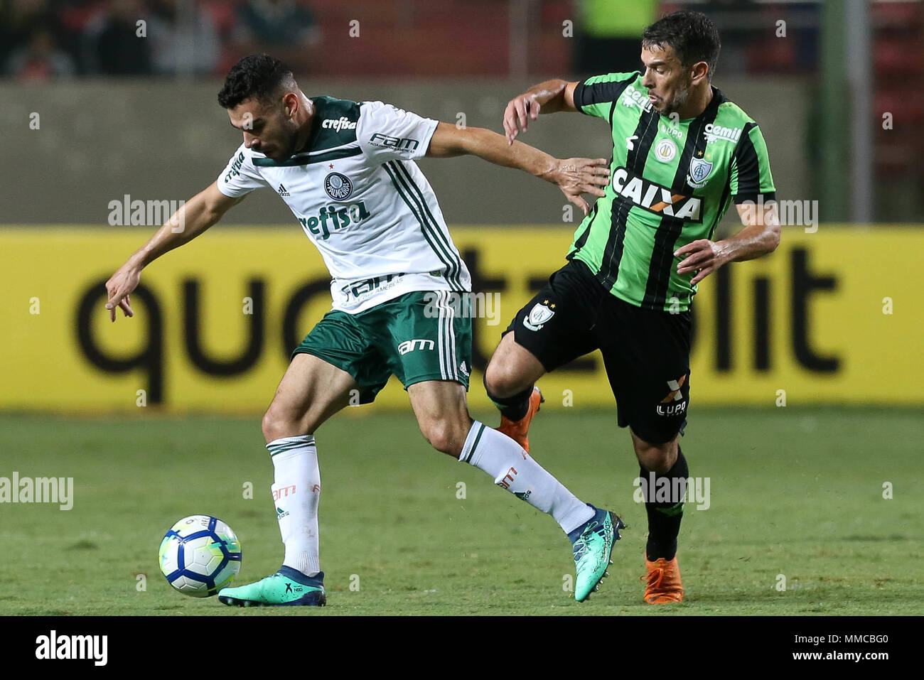 Palmeiras Foot Ball Club - Belo Horizonte-MG