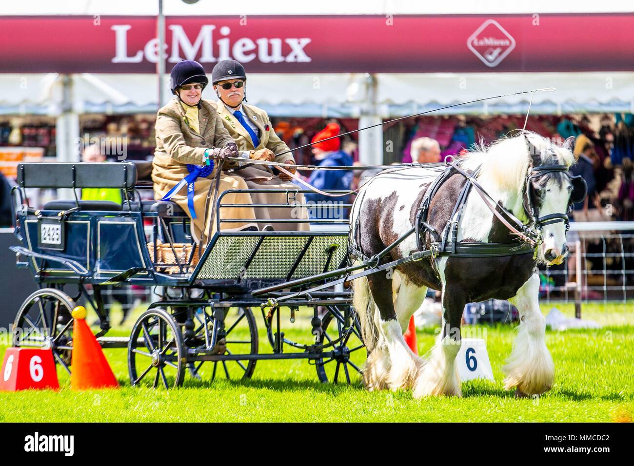 Windsor, UK. 10th May 2018. Day 2. Royal Windsor Horse Show. Windsor. Berkshire. UK.   Disabled Driving. Sarah Pain and Eddie.10/05/2018. Credit: Sport In Pictures/Alamy Live News Stock Photo