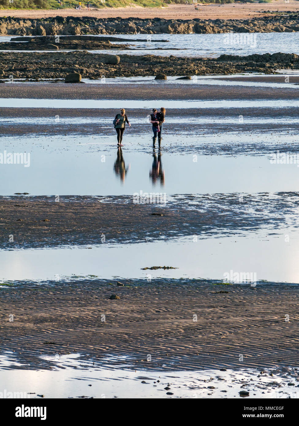 Longniddry Bents, Firth of Forth, East Lothian, Scotland, United Kingdom, 10th May 2018. UK