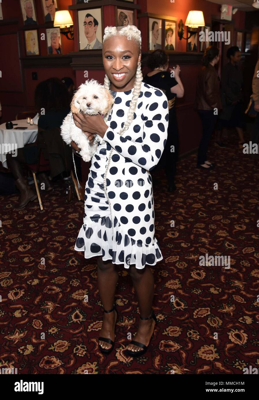 New York, YT, USA. 10th May, 2018. Cynthia Erivo, her dog Caleb at a public appearance for Condola Rashad Receives Her Portrait at Sardi's, Sardi's, New York, YT May 10, 2018. Credit: Derek Storm/Everett Collection/Alamy Live News Stock Photo
