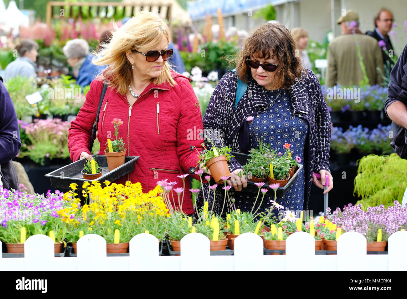 RHS Malvern Spring Festival - Friday 11th May 2018 - Visitors enjoy browsing the many plant stalls at this years RHS Malvern Spring Festival -  Photo Steven May / Alamy Live News Stock Photo