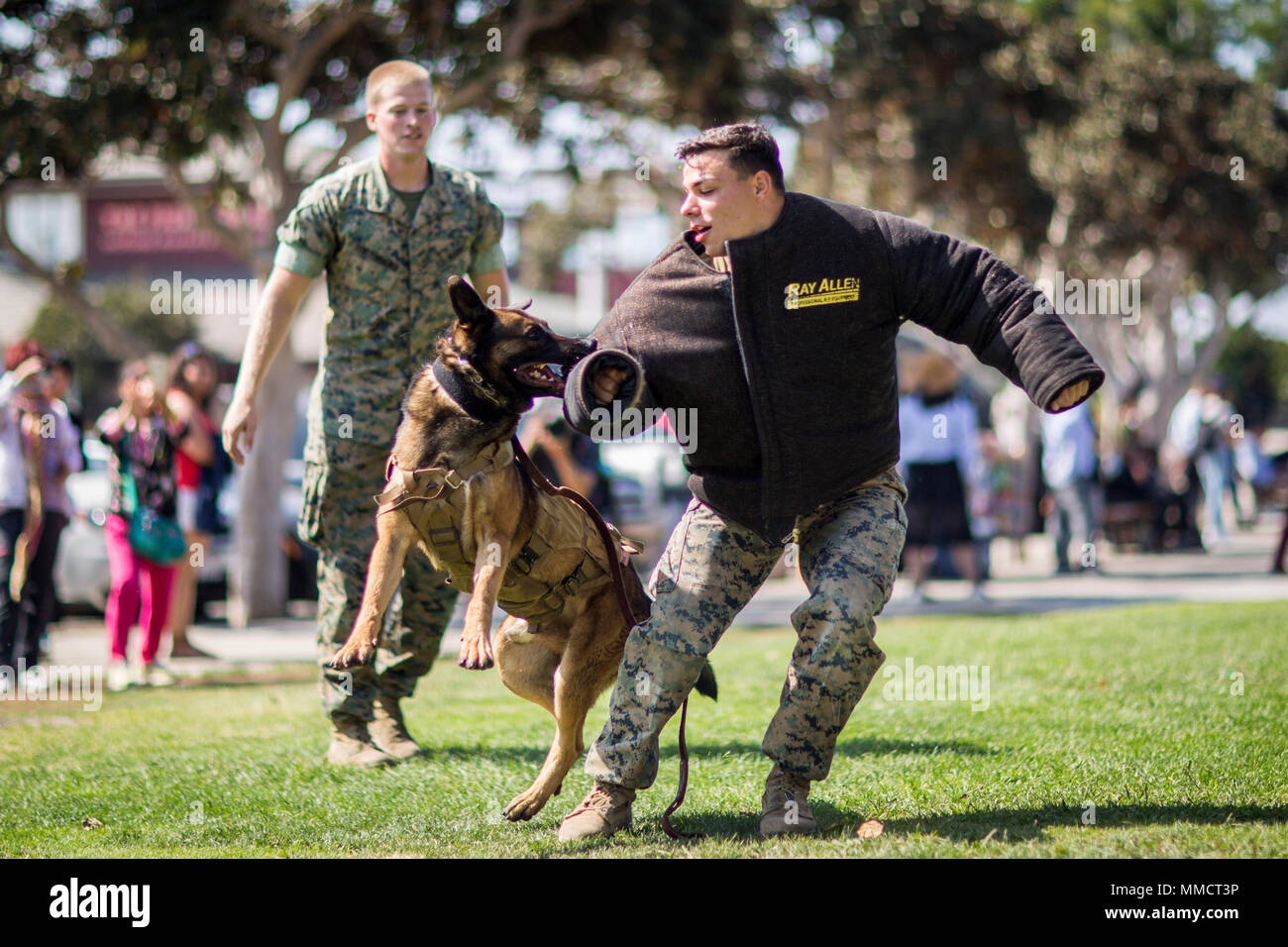 Lance Cpl. Daniel Fenstermacher, with 1st Law Enforcement Battalion, I Marine Expeditionary Force, commands his military working dog Ortis to release the bite gear at Tuna Harbor Park in San Diego, Calif., Oct. 13, 2017 as part of San Diego Fleet Week. The show demonstrated to the public the capabilities of the four-legged professionals in military occupations. (U.S. Marine Corps photo by Lance Cpl. Gabino Perez) Stock Photo