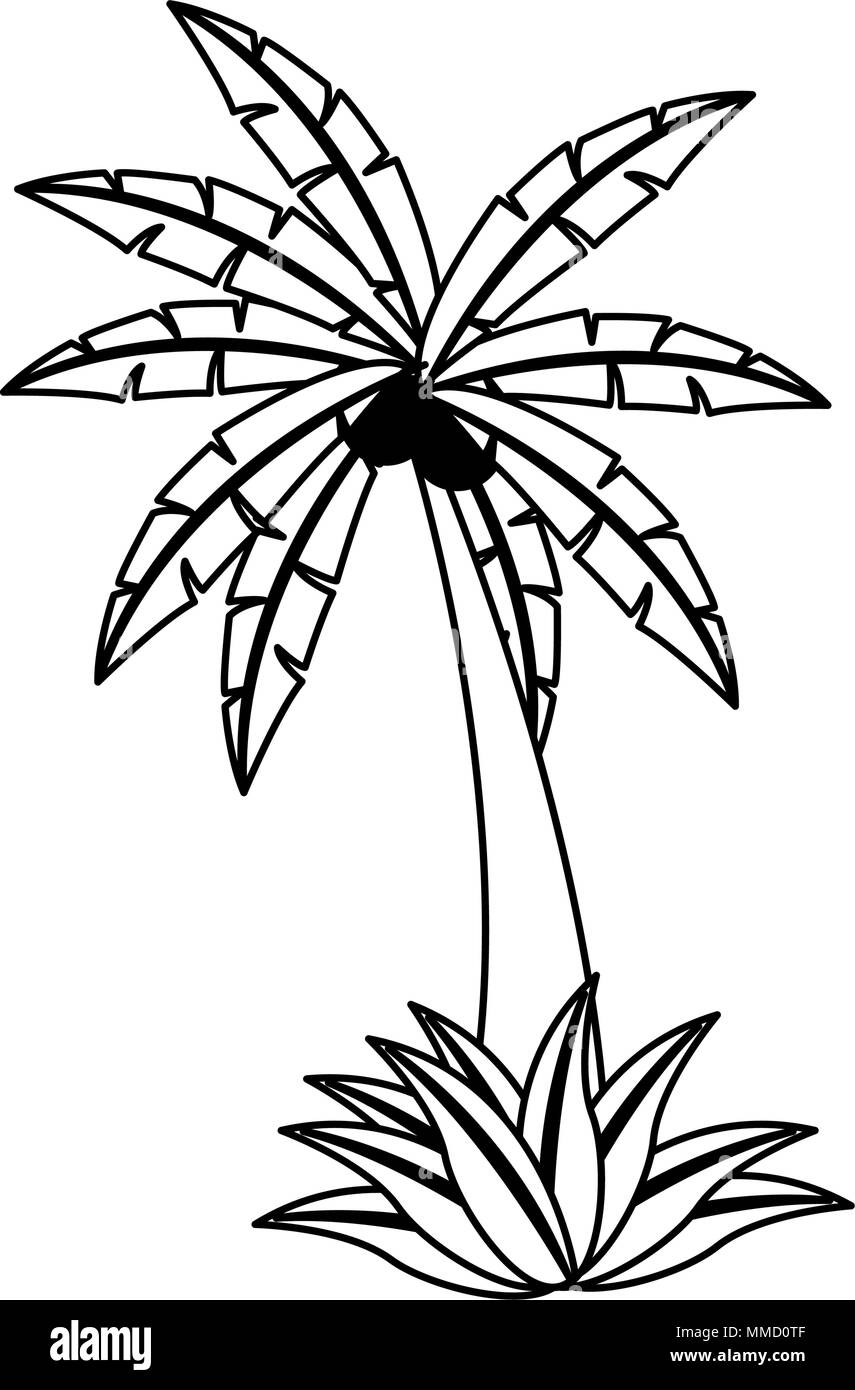 Palm tree isolated on black and white colors Stock Vector Image & Art ...