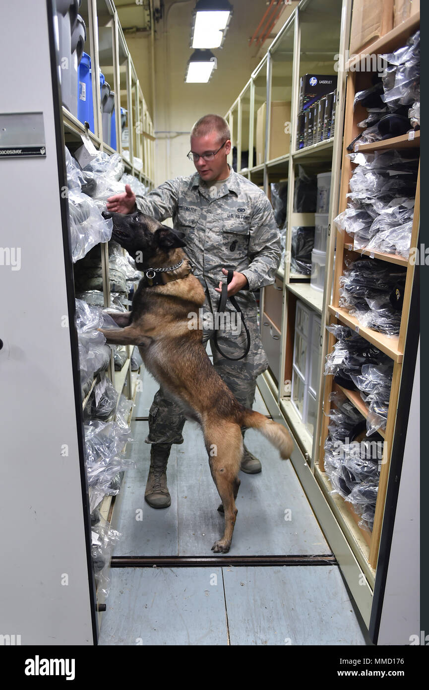 How Do You A Drug Dog Handler