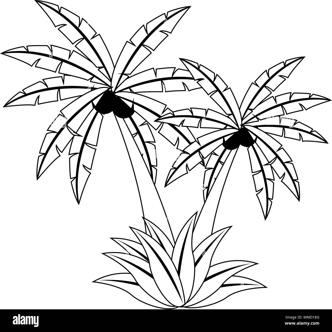 Palms tree isolated on black and white colors Stock Vector Image & Art