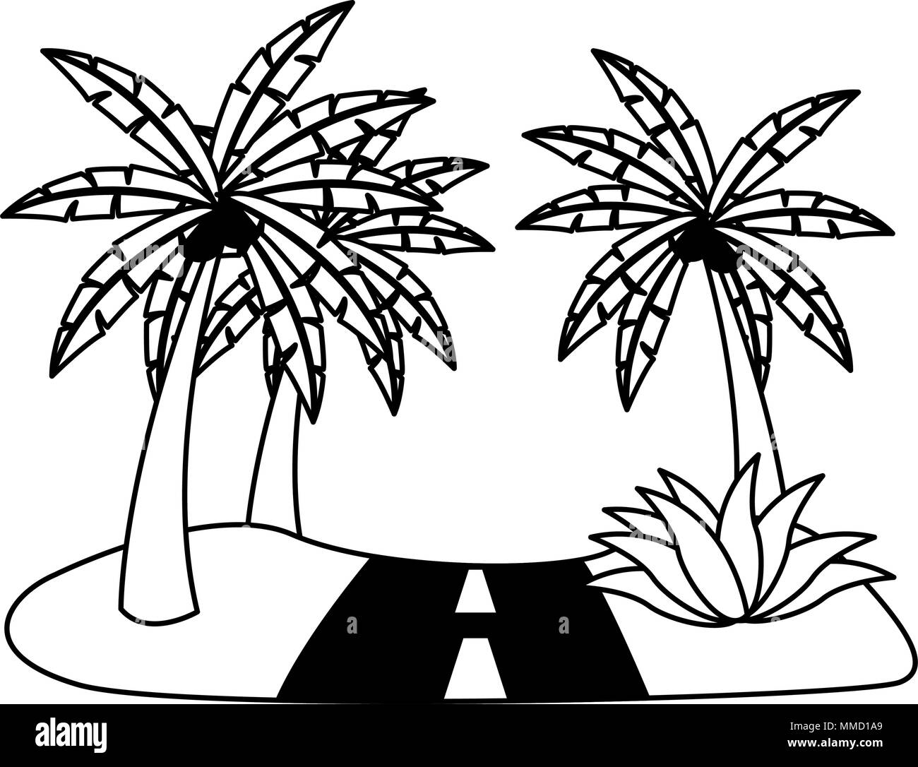 Coconut tree on road Black and White Stock Photos & Images Alamy