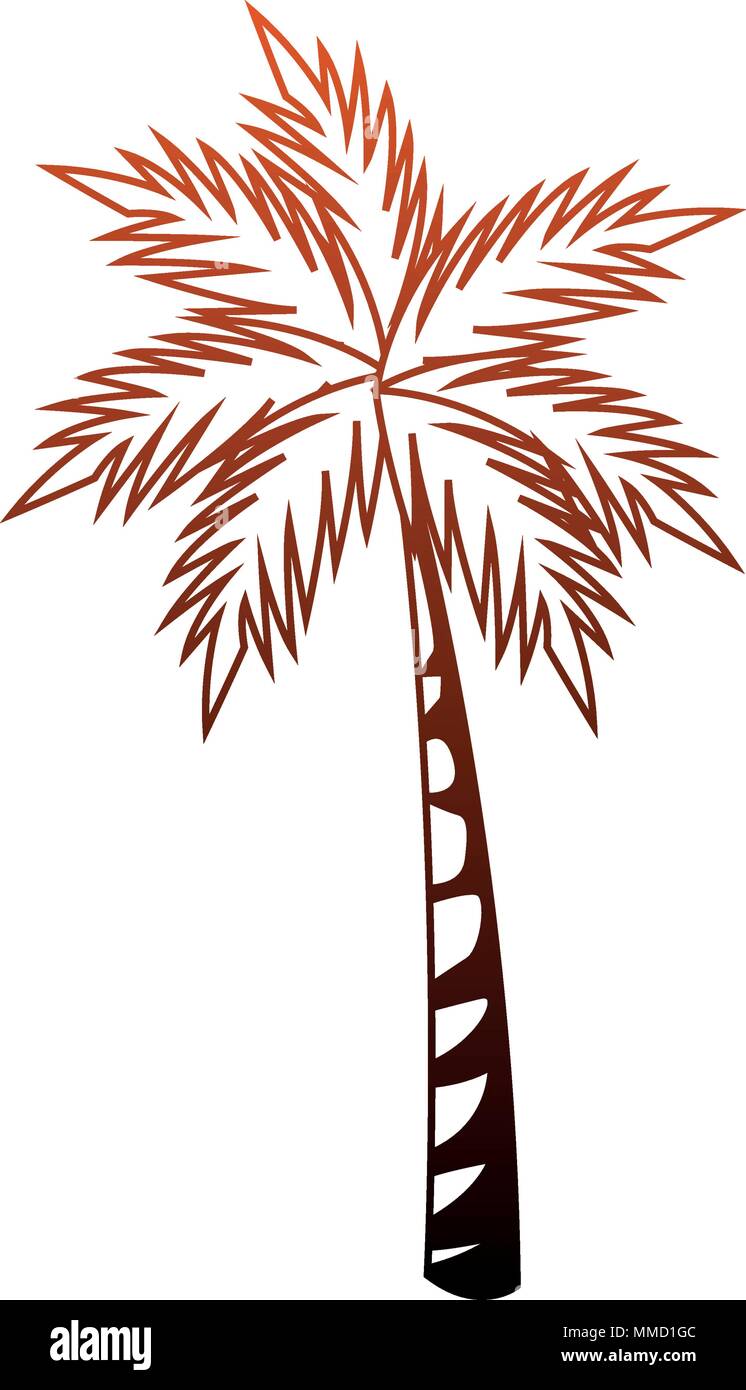 Palm tree isolated in orange lines Stock Vector Image & Art Alamy