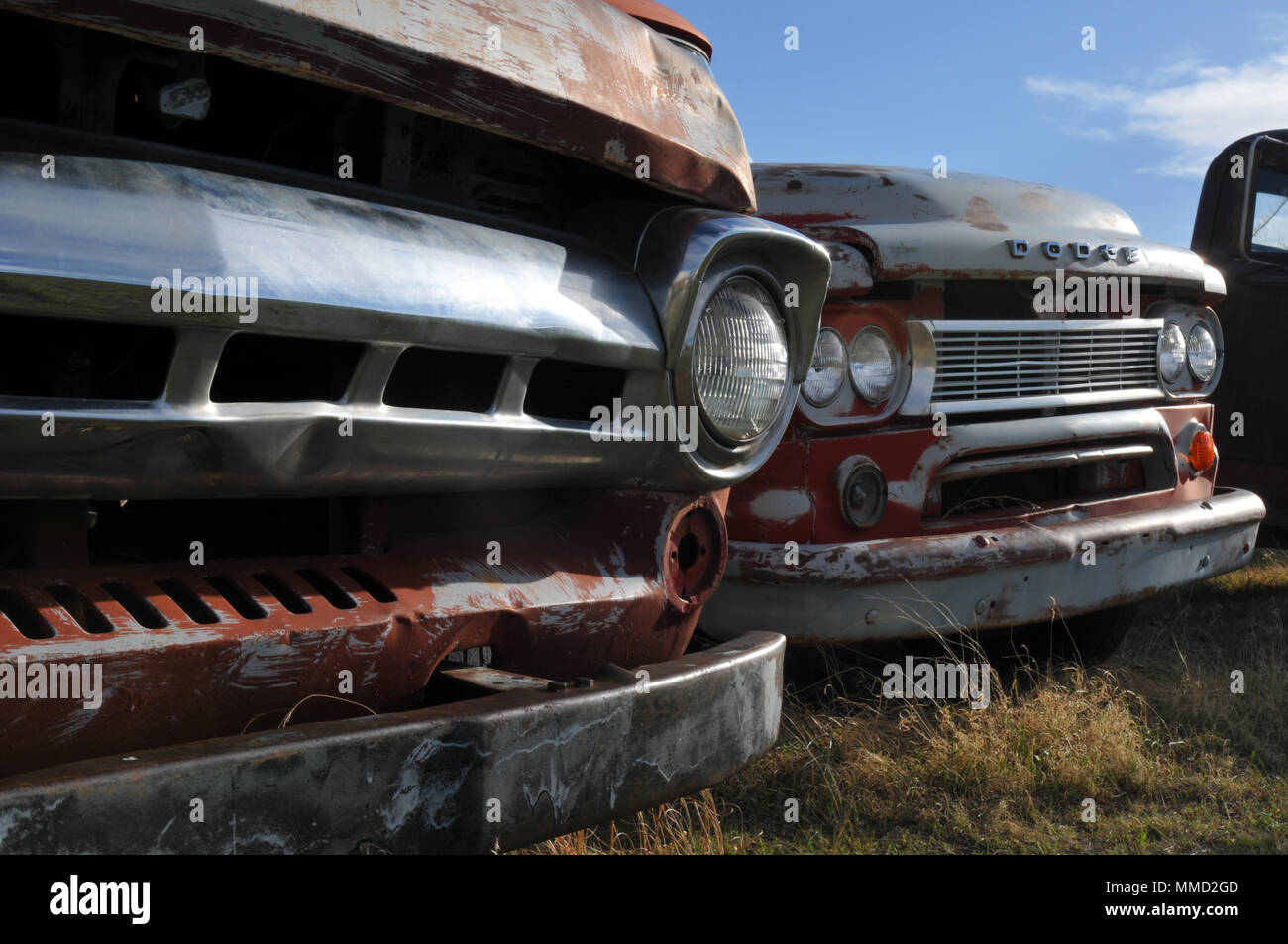 Vintage, unrestored pickup trucks sit in a field along Route 66 in New Mexico. Stock Photo