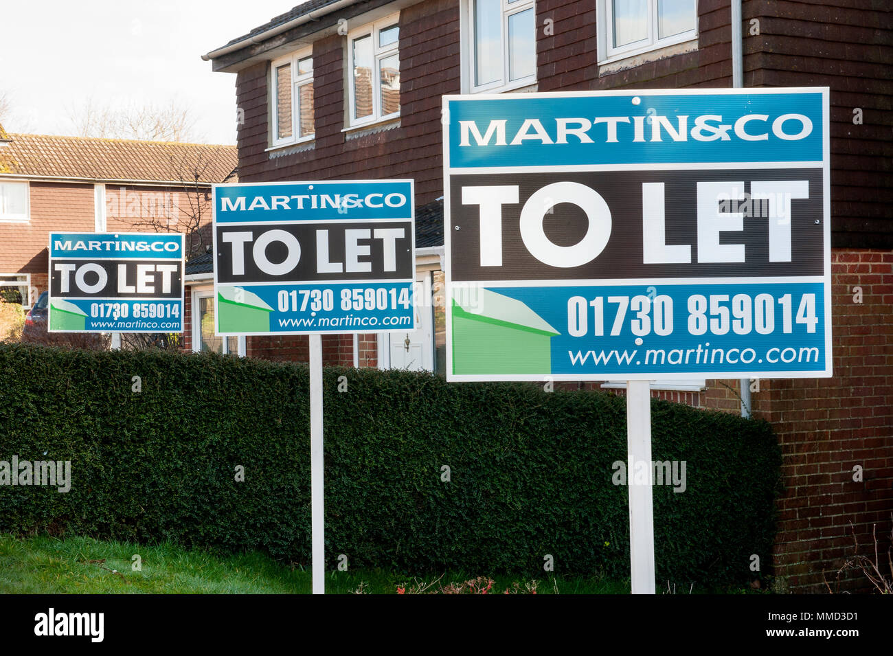 To Let signs in suburban street Stock Photo