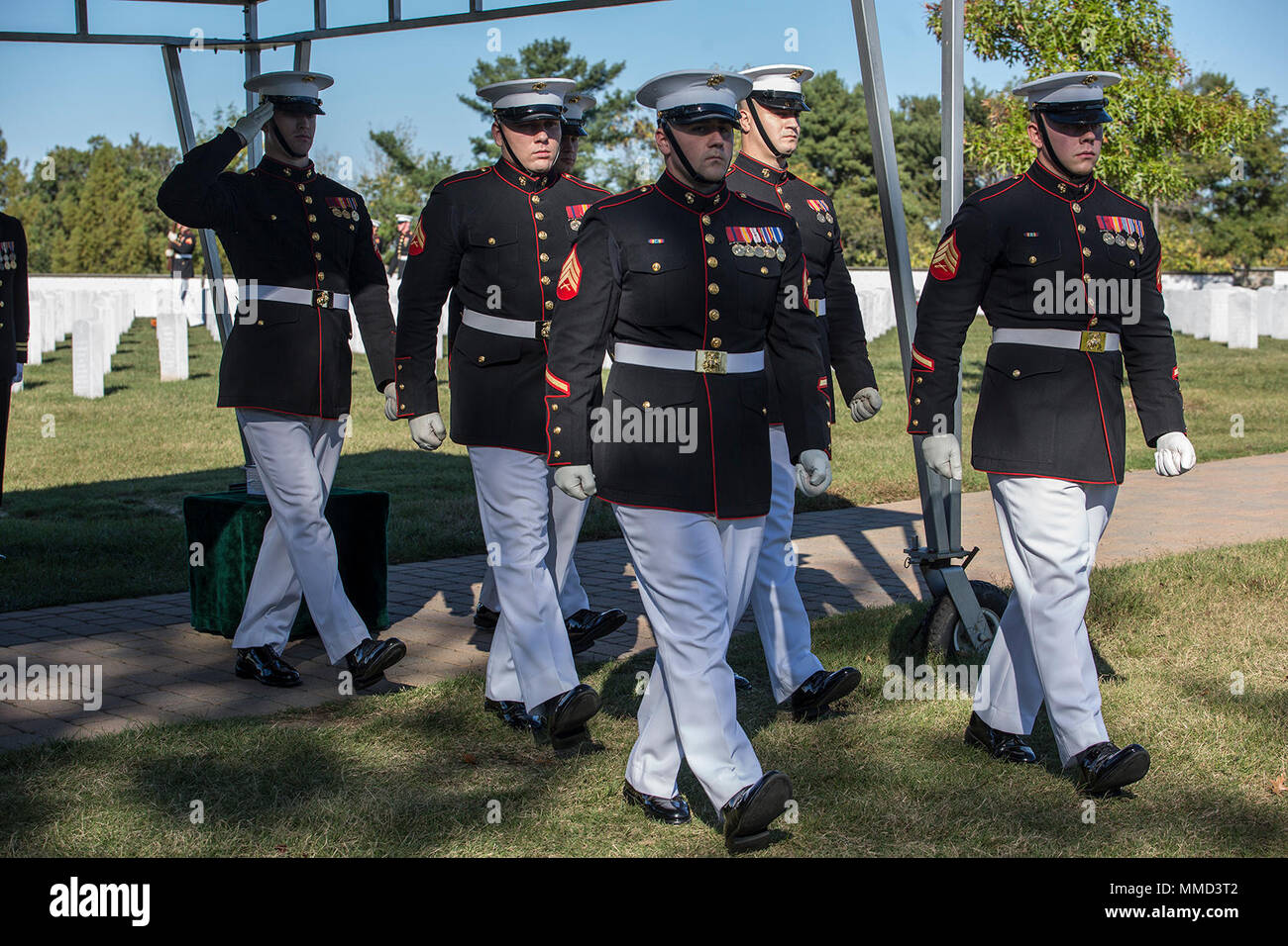 Body bearers hires stock photography and images Alamy