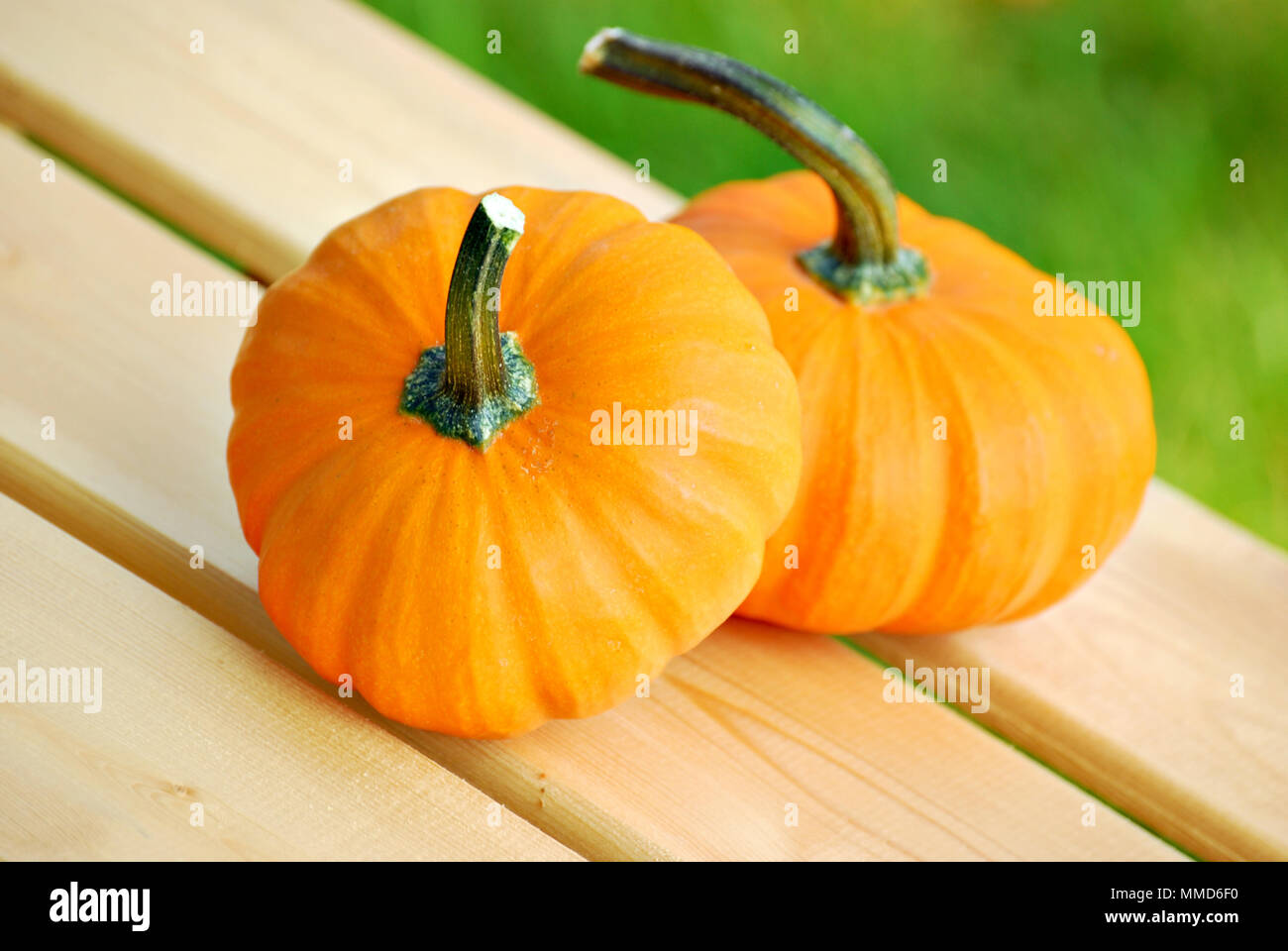 autumn still life with two pumpkins Stock Photo - Alamy