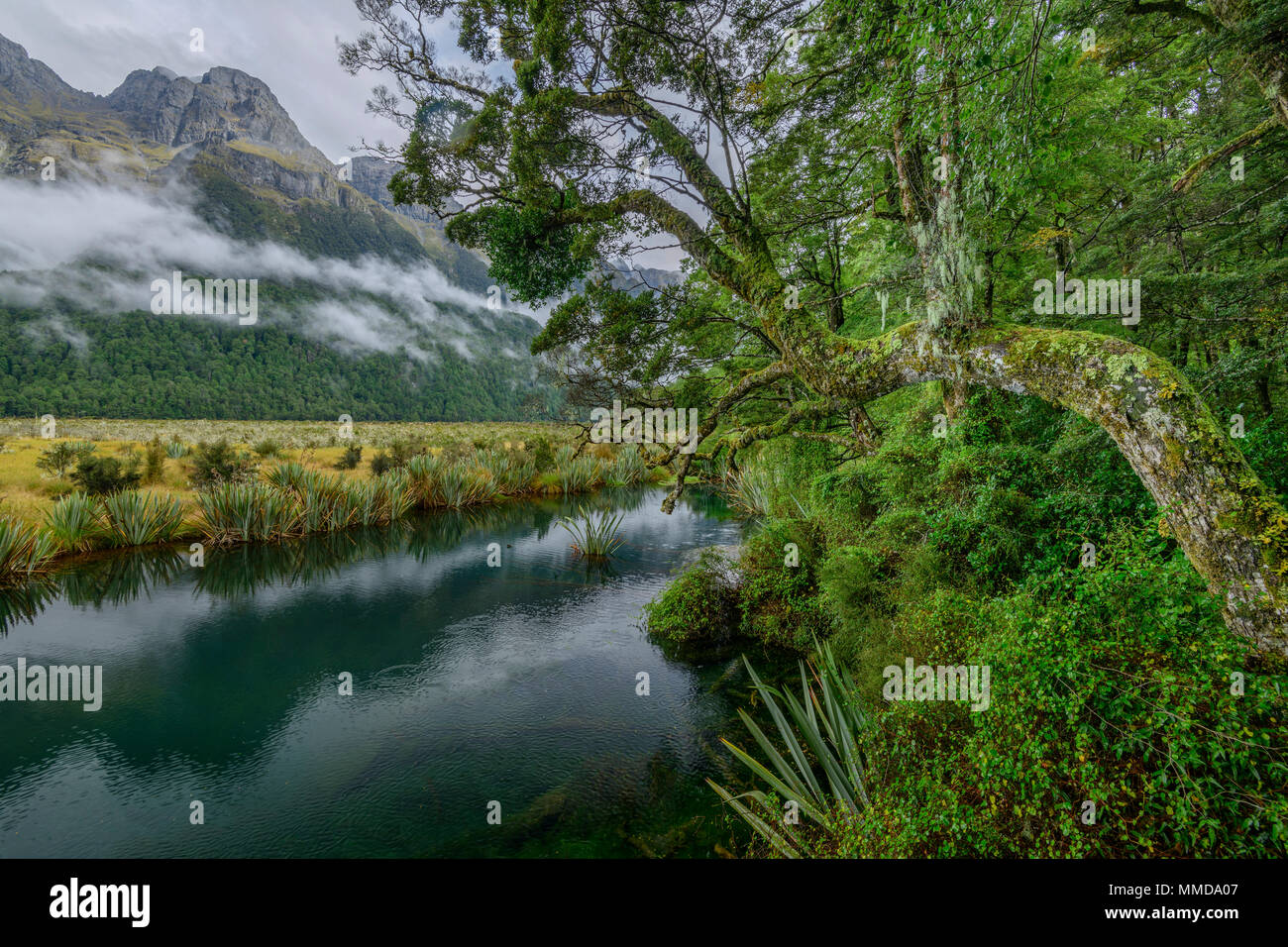 Oceania, New Zealand, Aotearoa, South Island, Te Anau, Southland, Fiordland National Park, Mirror lakes Stock Photo