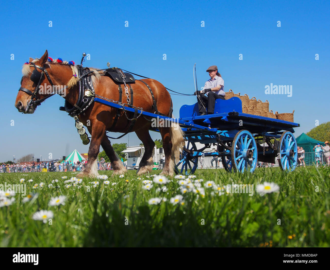 A horse drawn crriage displays at the Rural and Seaside show in Southsea, Portsmouth, England. Stock Photo